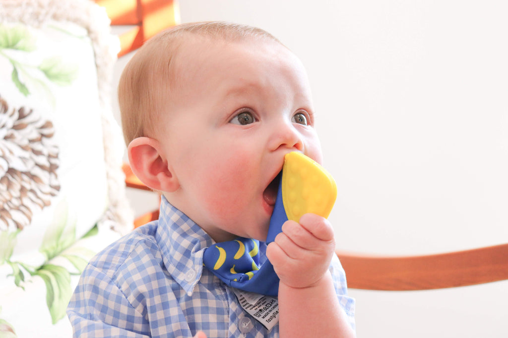 Best Teething Toys for Babies in 2020 - Tasty Tie
